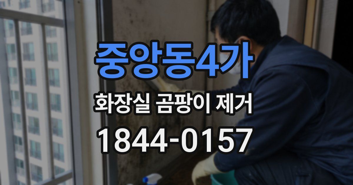중앙동4가 화장실 곰팡이 제거