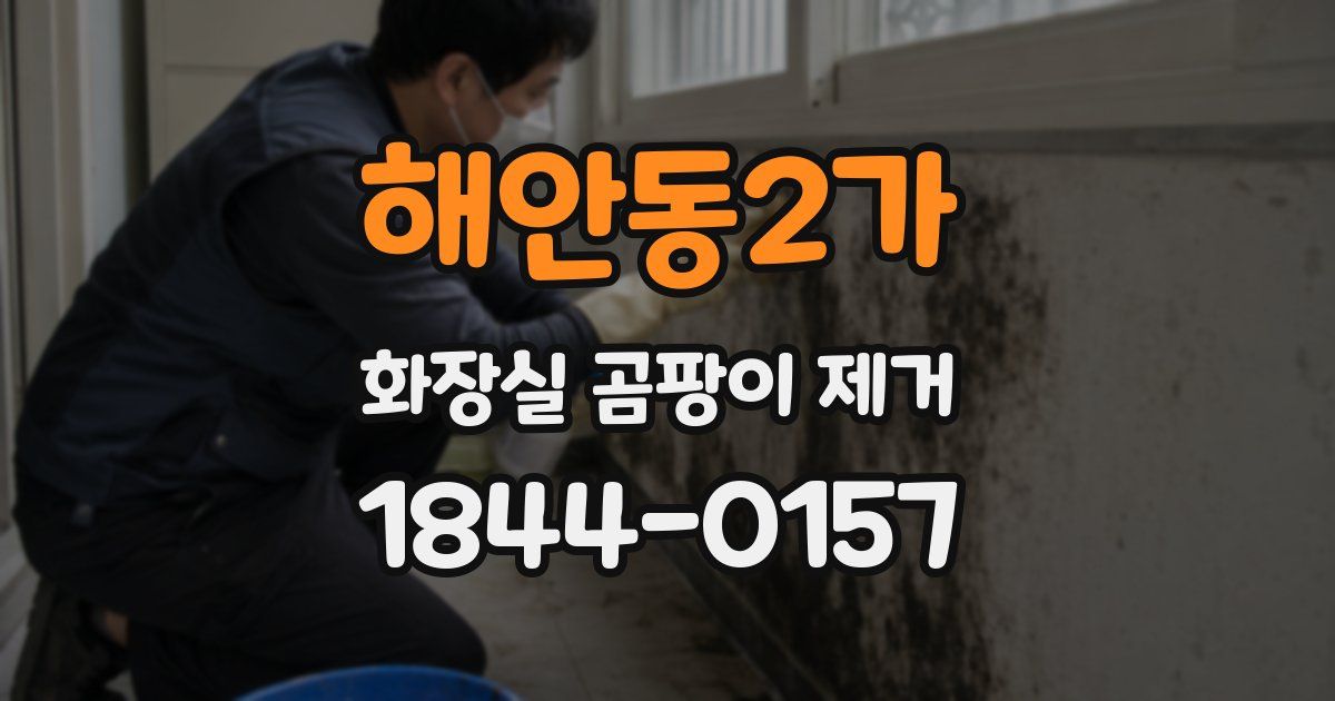 해안동2가 화장실 곰팡이 제거