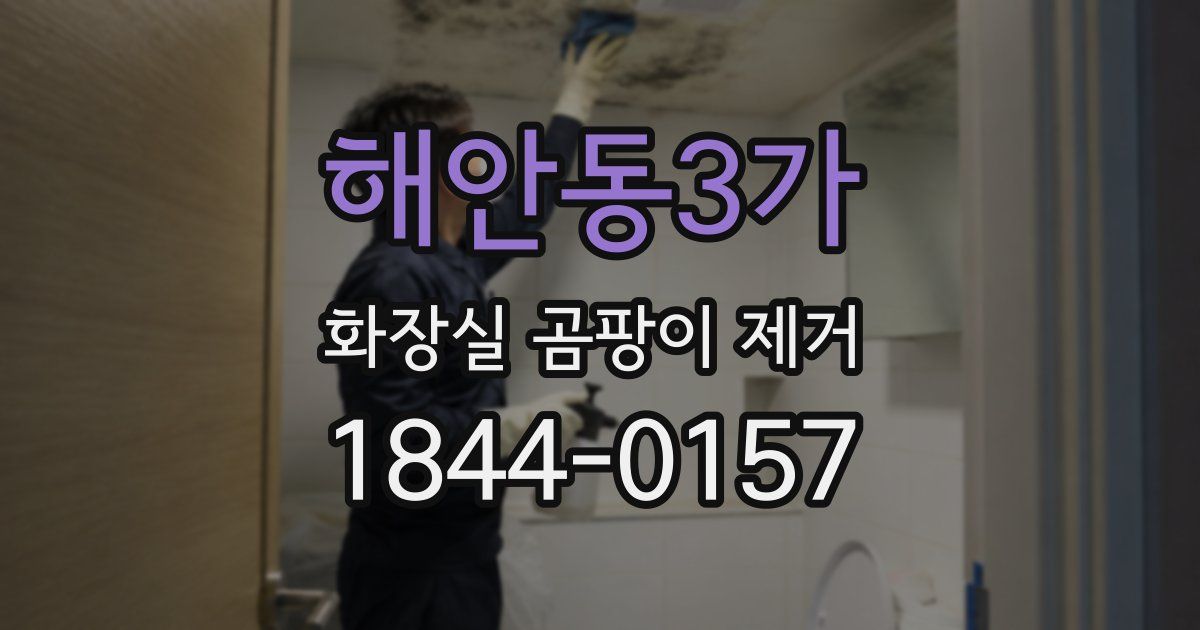 해안동3가 화장실 곰팡이 제거
