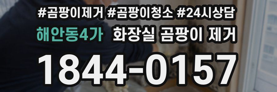 해안동4가 화장실 곰팡이 제거