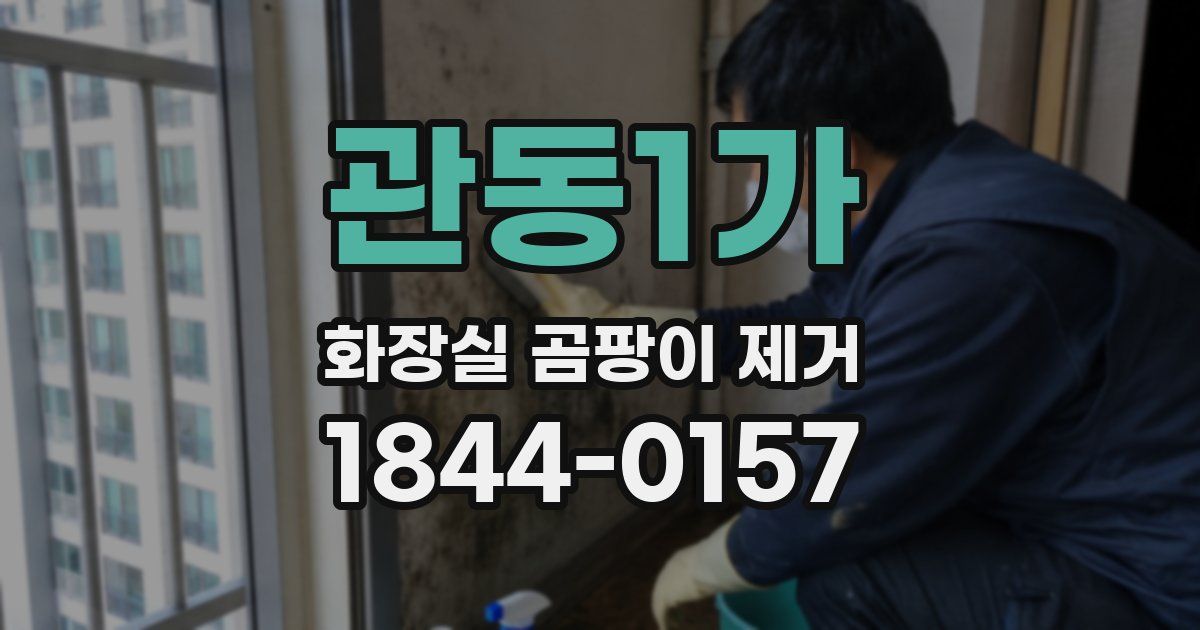 관동1가 화장실 곰팡이 제거