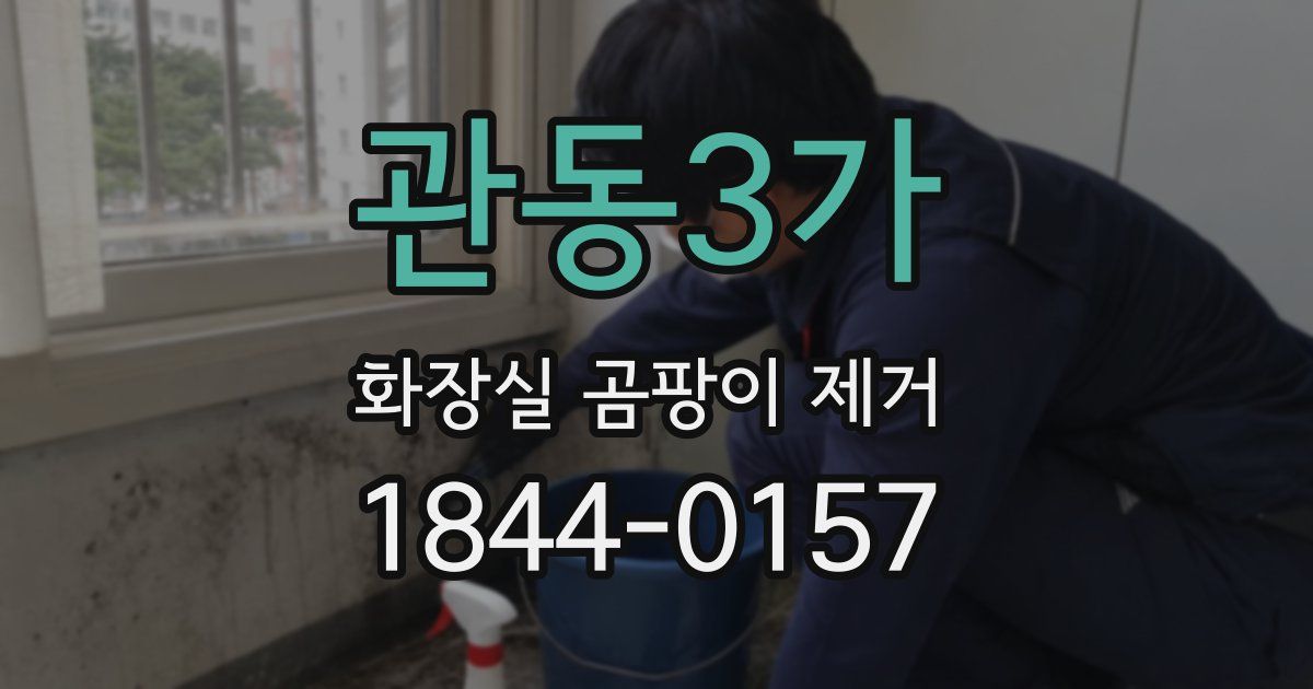 관동3가 화장실 곰팡이 제거