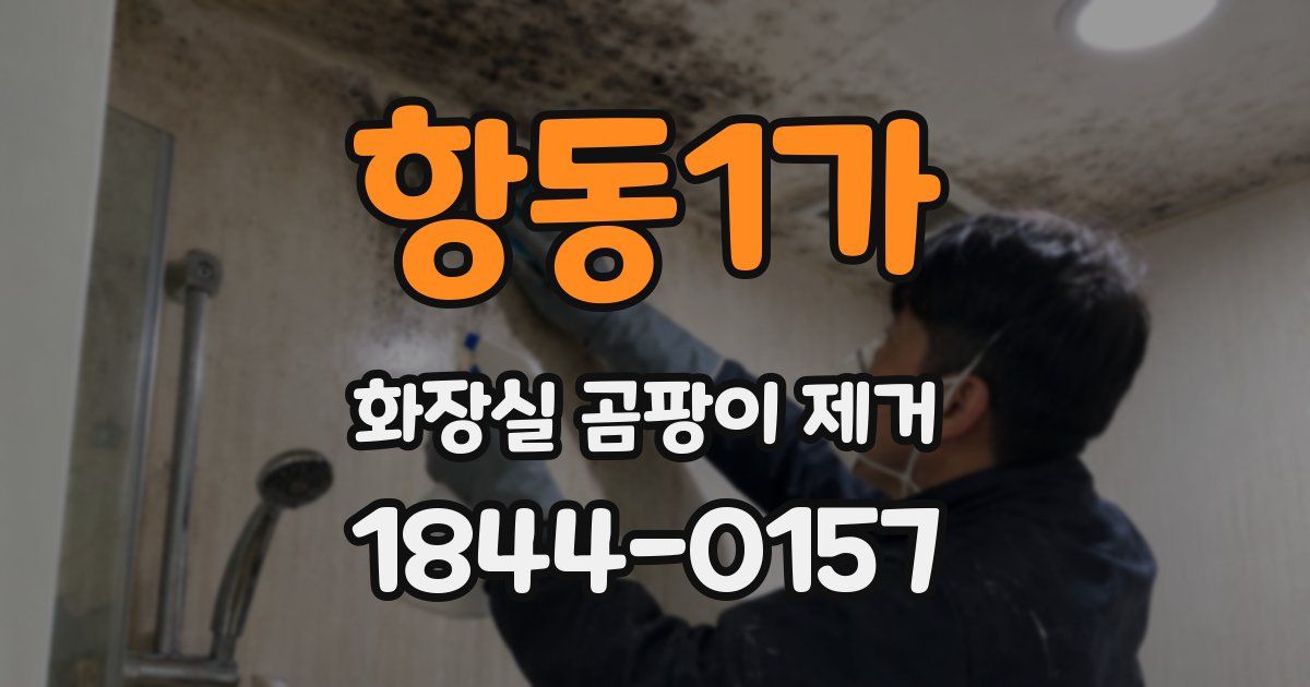 항동1가 화장실 곰팡이 제거