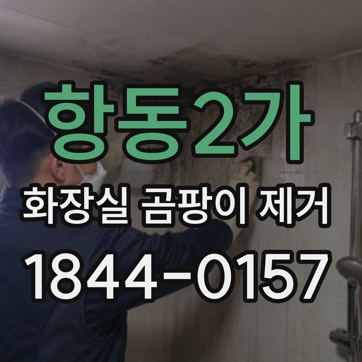 항동2가 화장실 곰팡이 제거