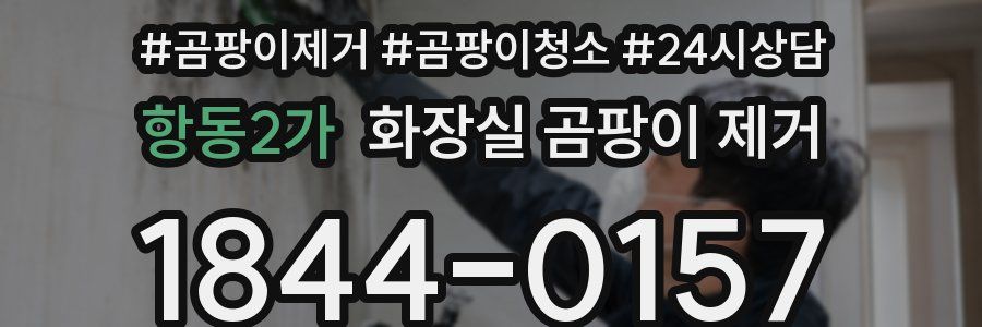 항동2가 화장실 곰팡이 제거