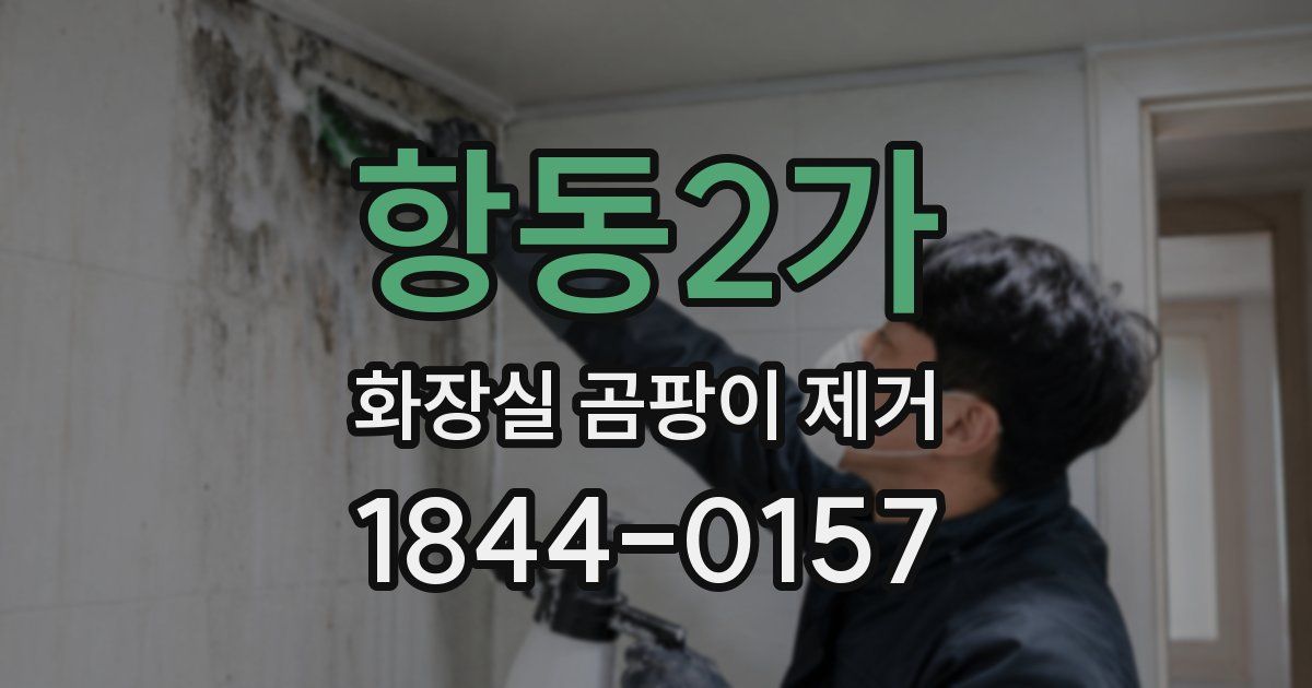 항동2가 화장실 곰팡이 제거