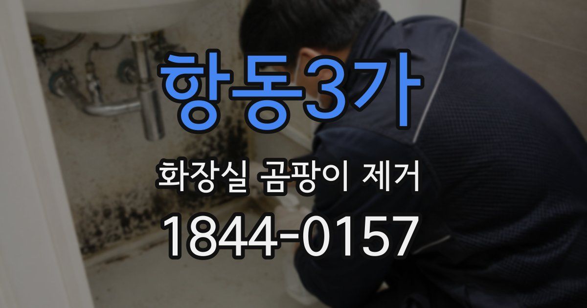 항동3가 화장실 곰팡이 제거