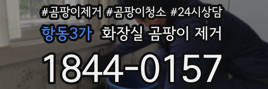 항동3가 화장실 곰팡이 제거