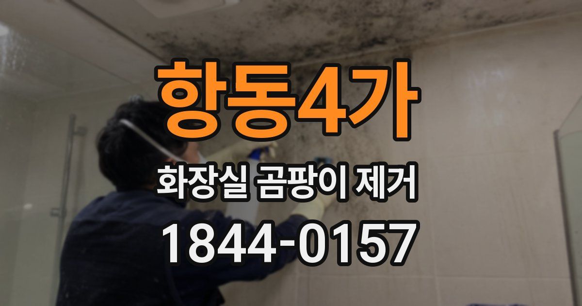 항동4가 화장실 곰팡이 제거
