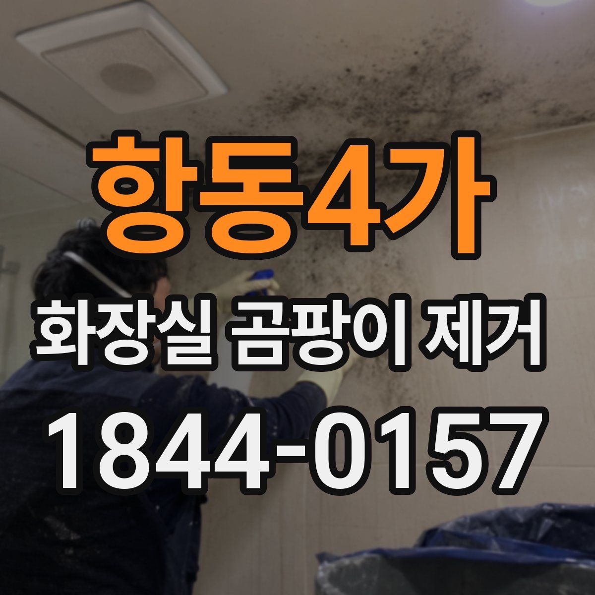 항동4가 화장실 곰팡이 제거