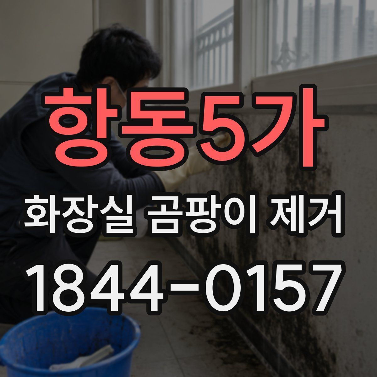항동5가 화장실 곰팡이 제거