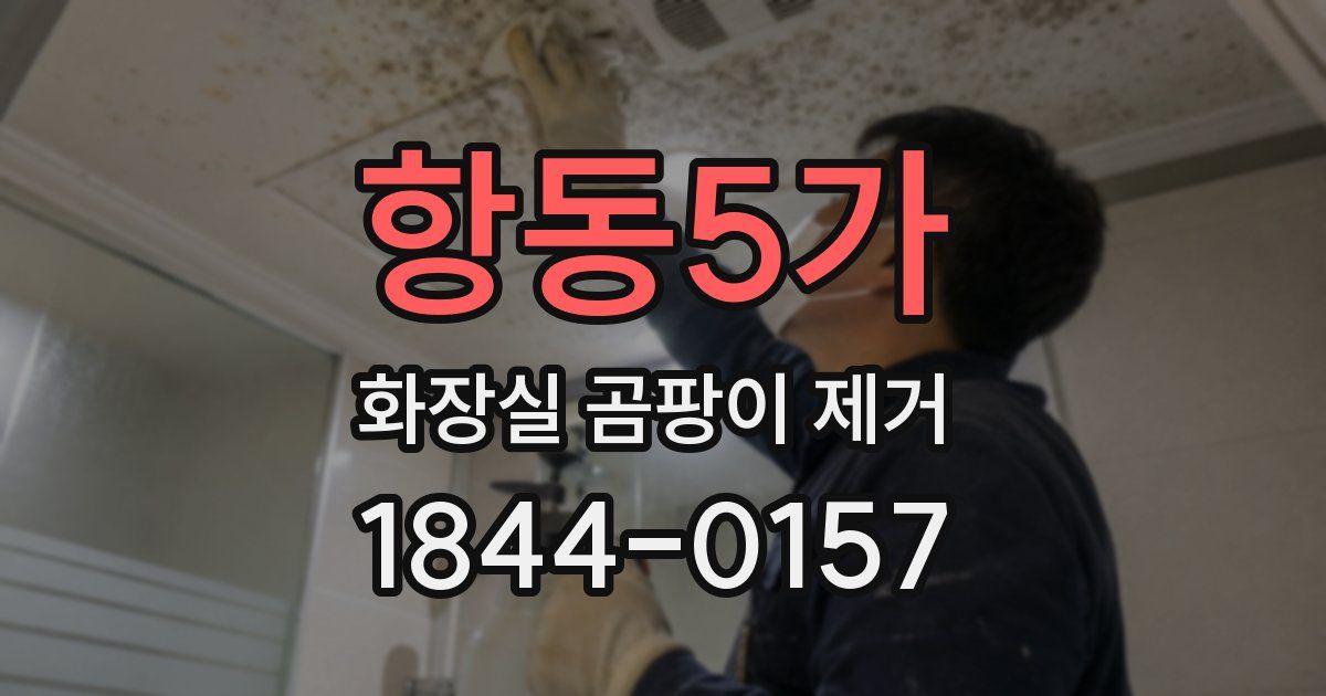 항동5가 화장실 곰팡이 제거