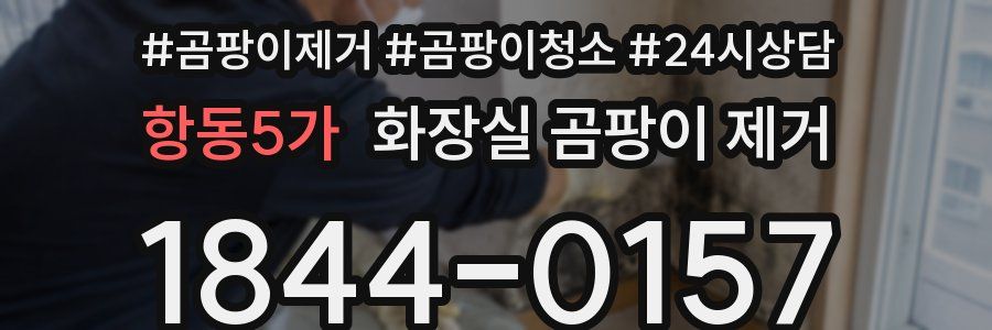 항동5가 화장실 곰팡이 제거