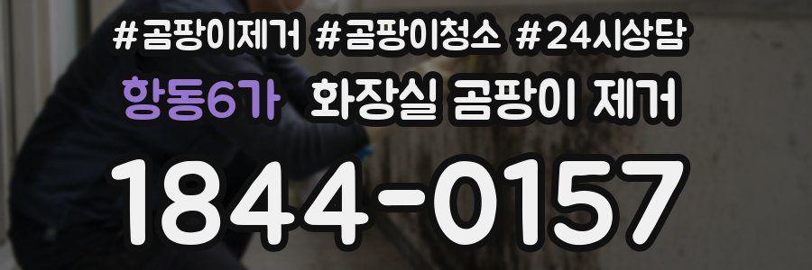 항동6가 화장실 곰팡이 제거
