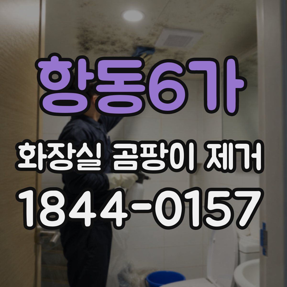 항동6가 화장실 곰팡이 제거