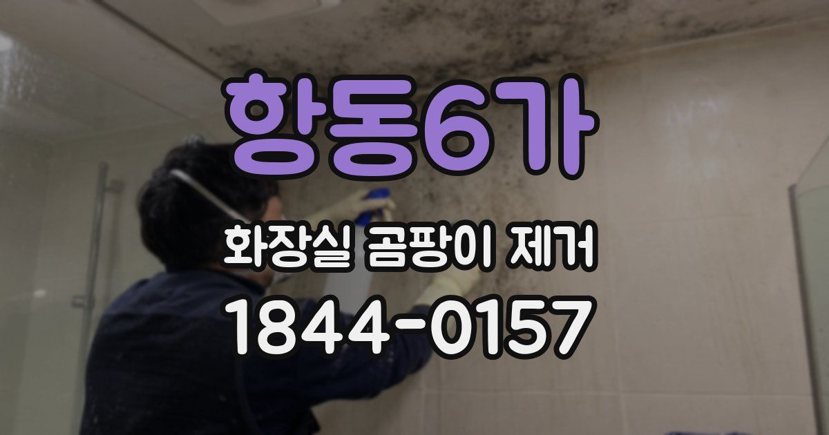 항동6가 화장실 곰팡이 제거
