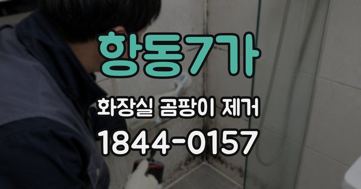항동7가 화장실 곰팡이 제거