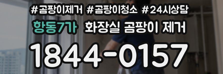 항동7가 화장실 곰팡이 제거