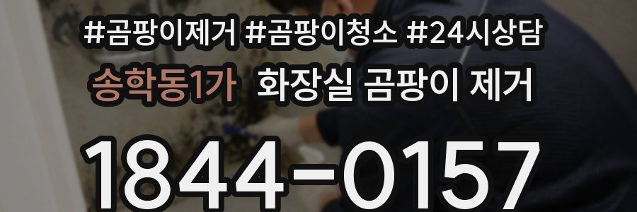 송학동1가 화장실 곰팡이 제거