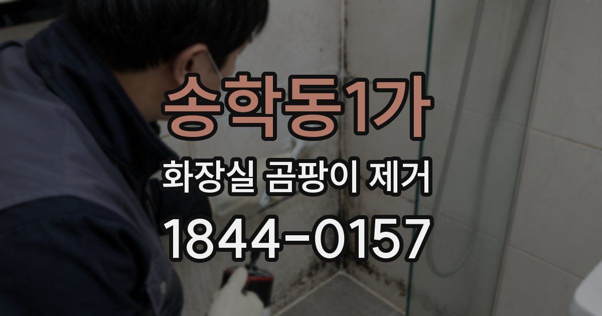 송학동1가 화장실 곰팡이 제거