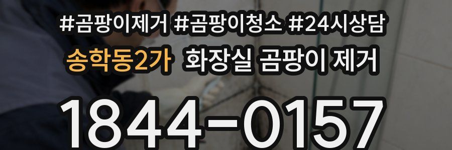 송학동2가 화장실 곰팡이 제거