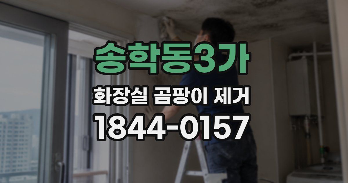 송학동3가 화장실 곰팡이 제거