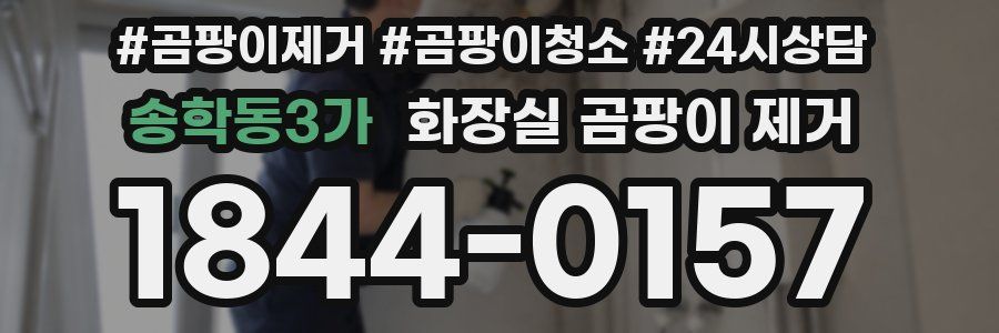 송학동3가 화장실 곰팡이 제거