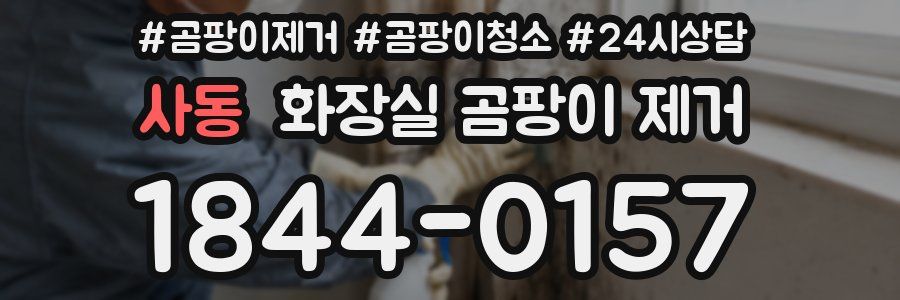 사동 화장실 곰팡이 제거
