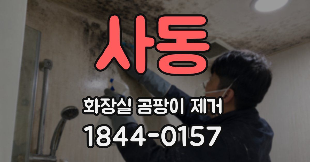 사동 화장실 곰팡이 제거