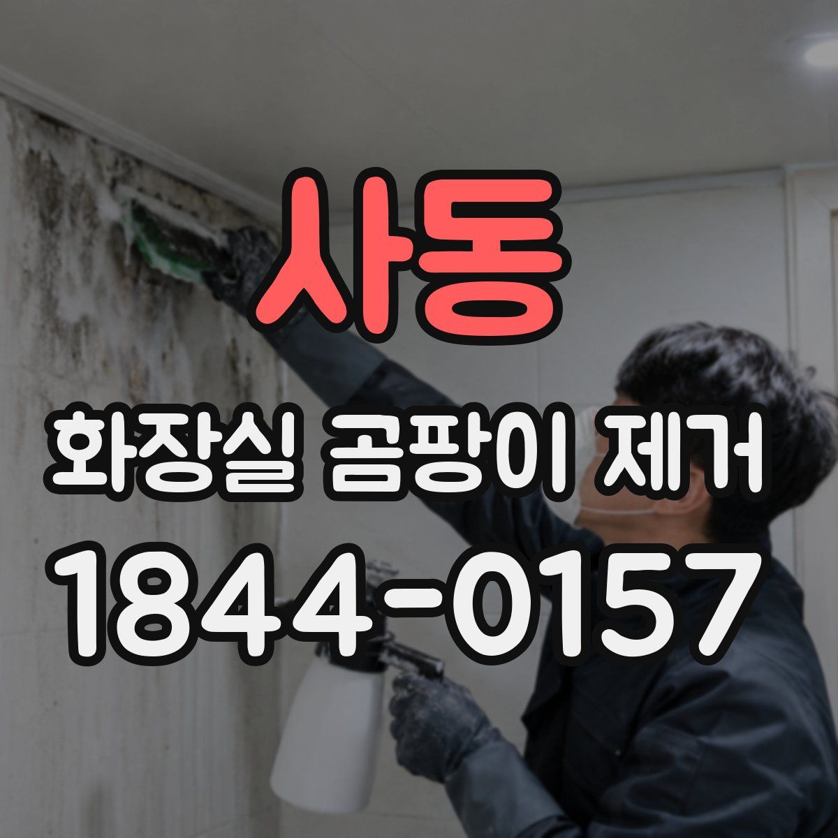 사동 화장실 곰팡이 제거