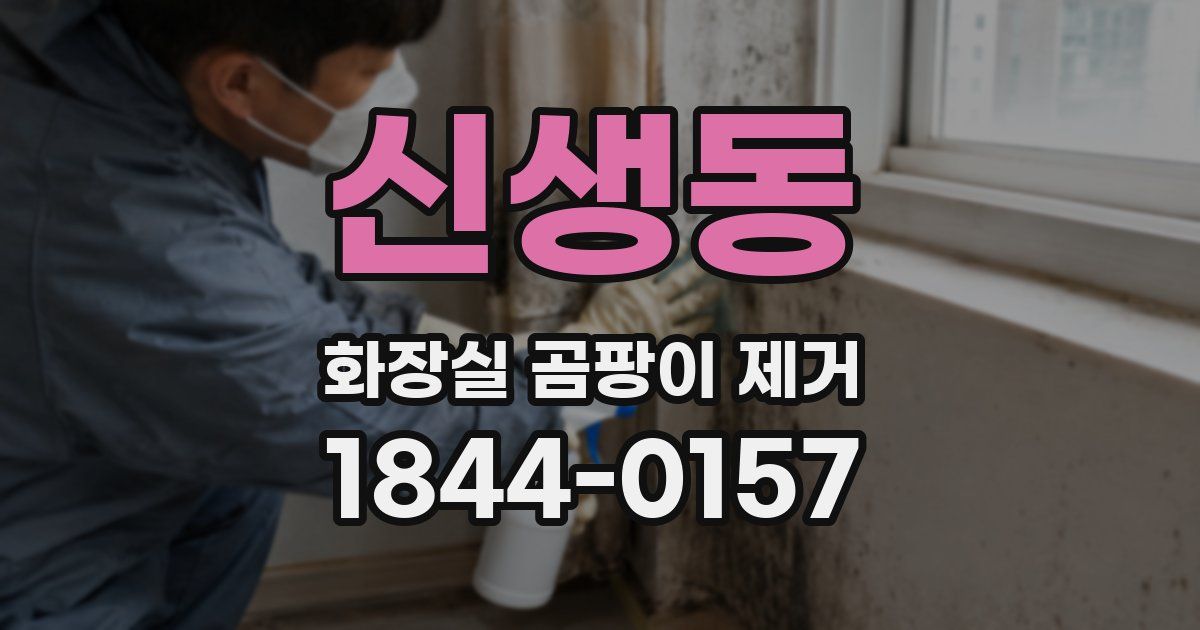 신생동 화장실 곰팡이 제거