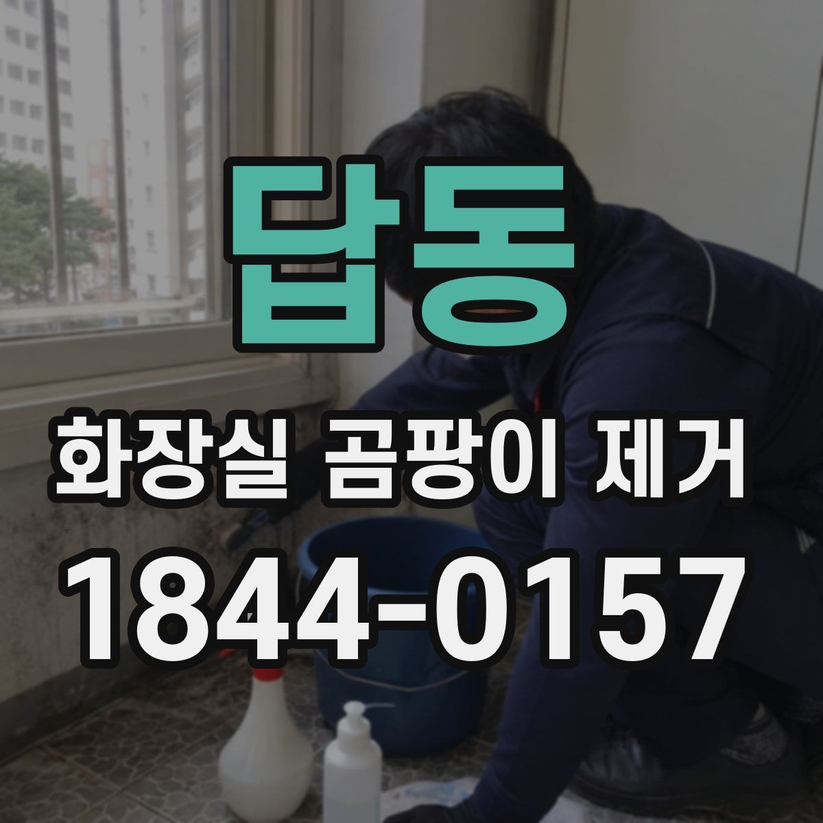 답동 화장실 곰팡이 제거