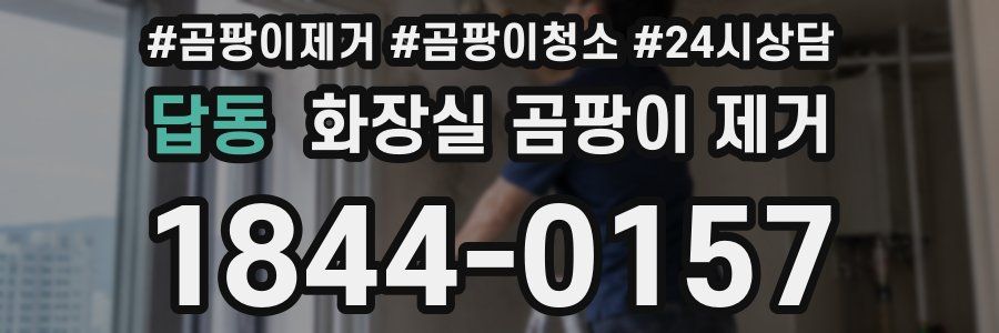답동 화장실 곰팡이 제거