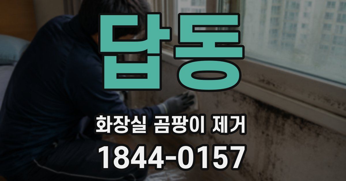 답동 화장실 곰팡이 제거