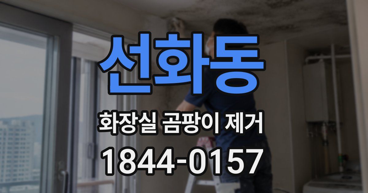 선화동 화장실 곰팡이 제거