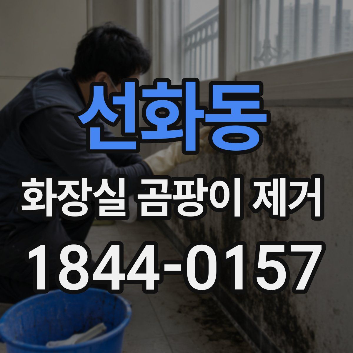 선화동 화장실 곰팡이 제거