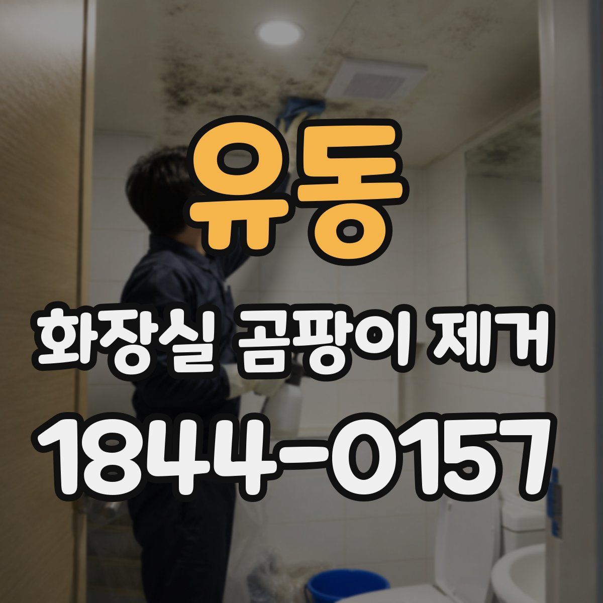 유동 화장실 곰팡이 제거