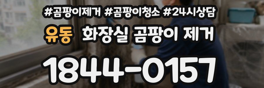 유동 화장실 곰팡이 제거