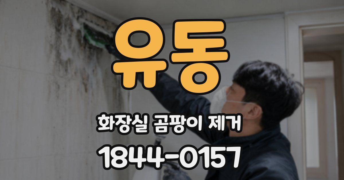 유동 화장실 곰팡이 제거