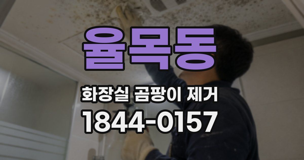 율목동 화장실 곰팡이 제거