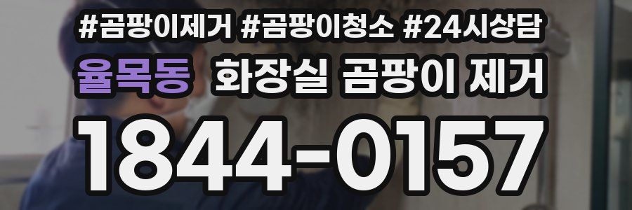 율목동 화장실 곰팡이 제거