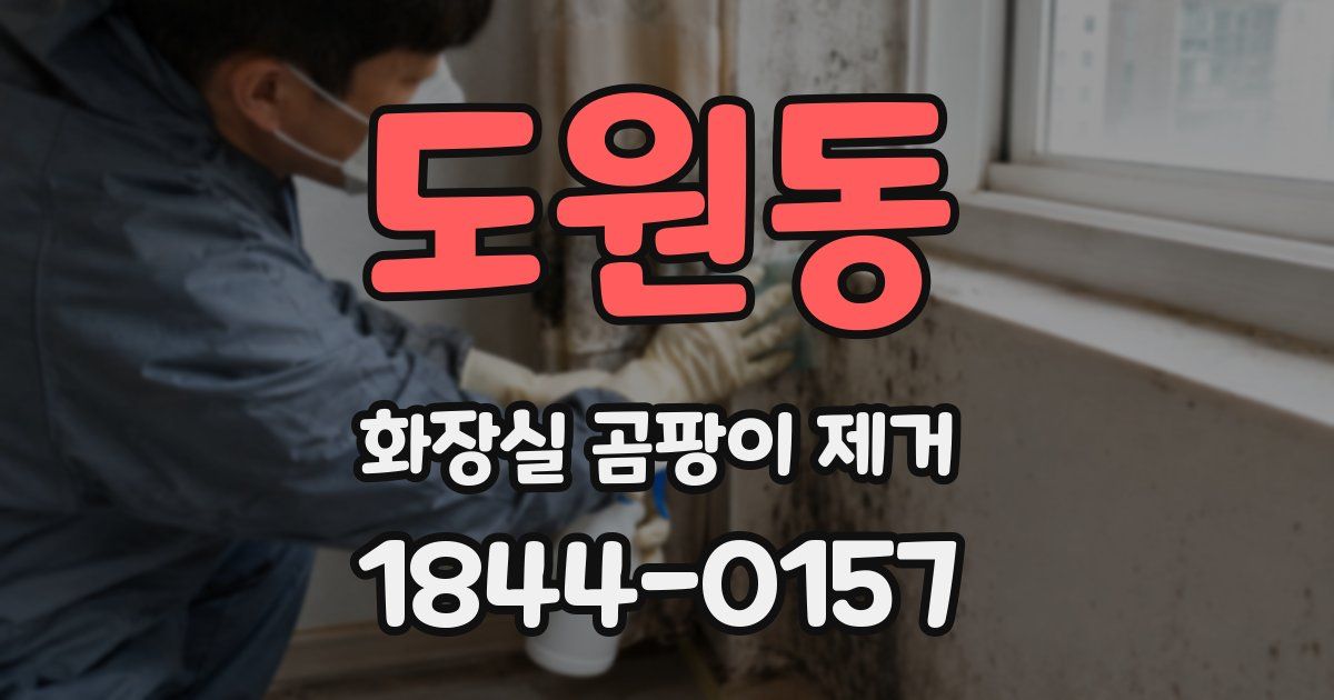 도원동 화장실 곰팡이 제거