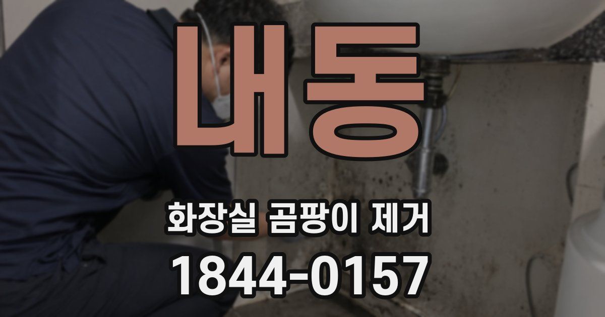 내동 화장실 곰팡이 제거