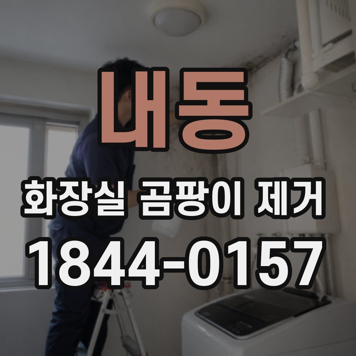 내동 화장실 곰팡이 제거