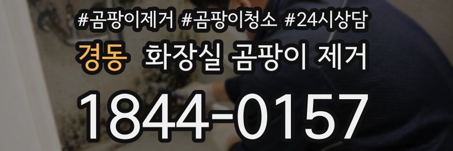 경동 화장실 곰팡이 제거