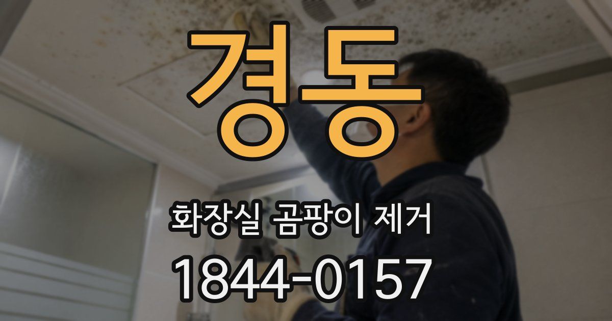 경동 화장실 곰팡이 제거