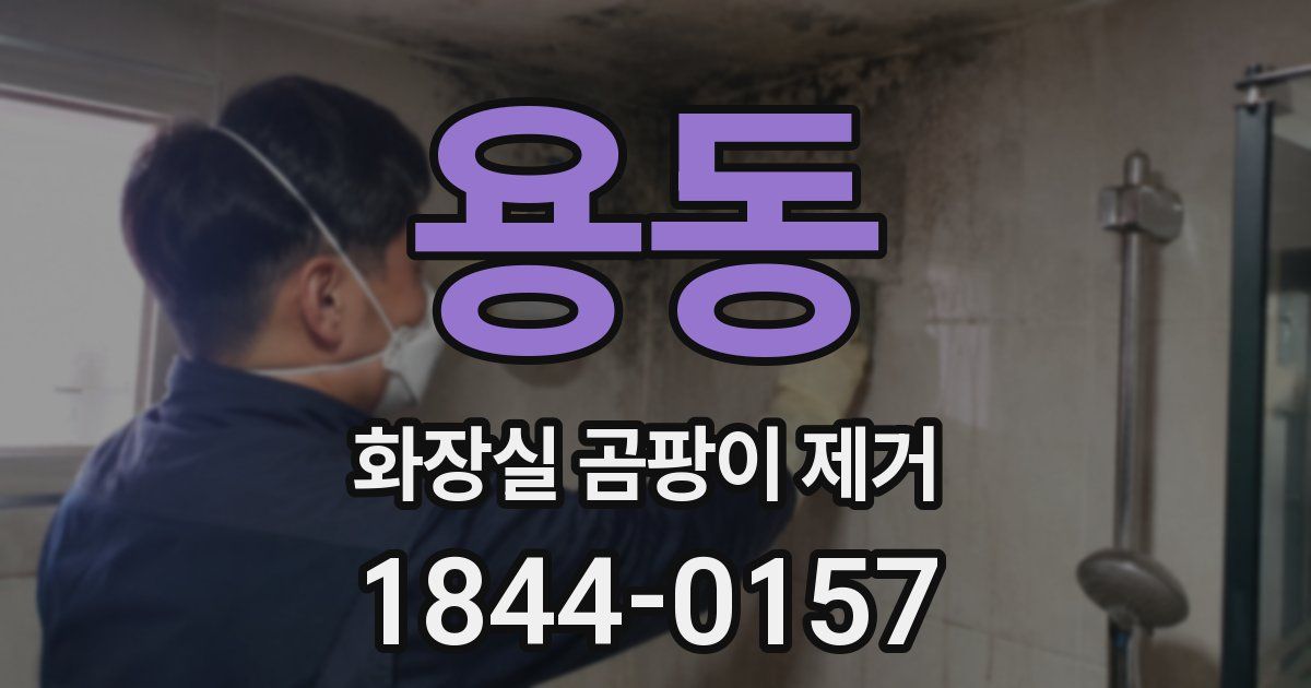 용동 화장실 곰팡이 제거