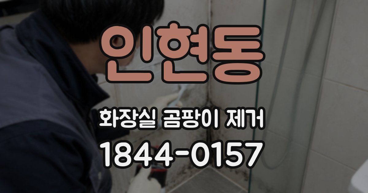 인현동 화장실 곰팡이 제거