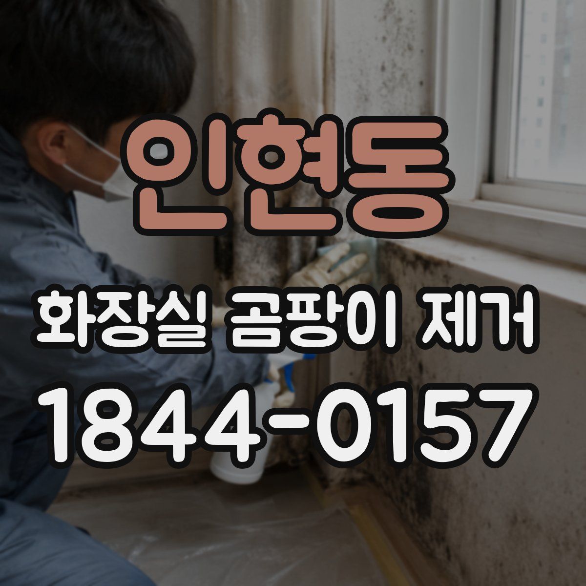 인현동 화장실 곰팡이 제거