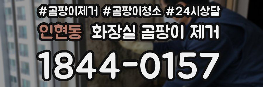 인현동 화장실 곰팡이 제거
